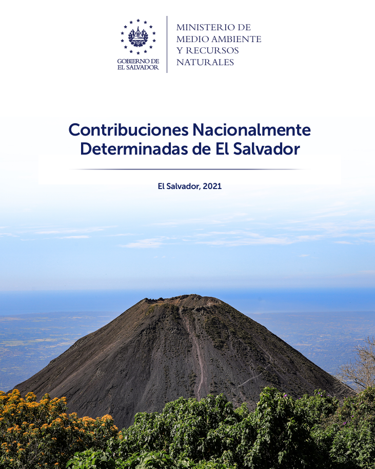 NDC 2021