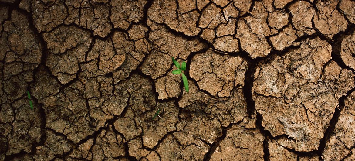 El cambio climático empujará a casi seis millones de niños y jóvenes a la pobreza en América Latina